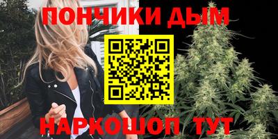 шишки Будённовск