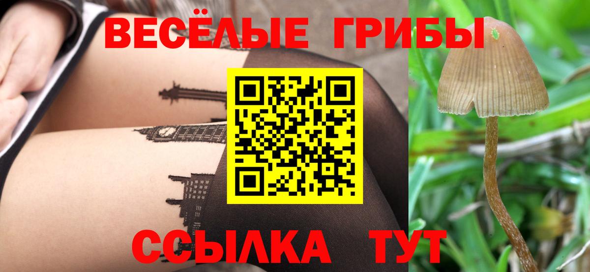Галлюциногенные грибы ЛСД Приморско-Ахтарск