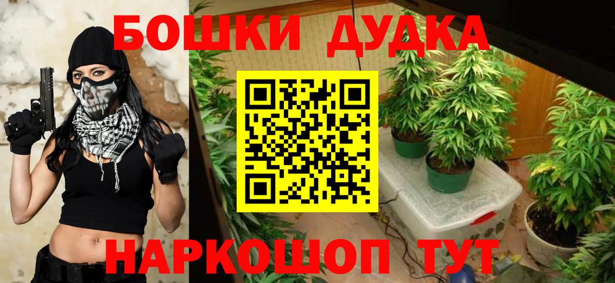 Каннабис White Widow  Вход с VPN  Канабис сатива  Канабис VHQ  Приморско-Ахтарск  Каннабис LSD WEED 